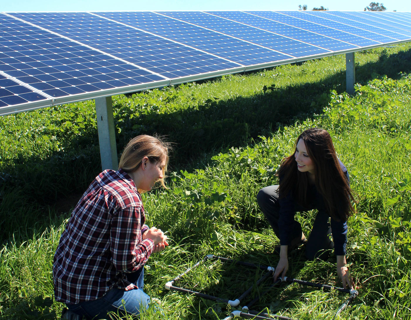 A professor and her student set up an experiment at a local solar farm. (Photo: UC Davis) 