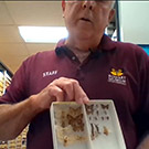 Man holding tray of moths and butterflies.