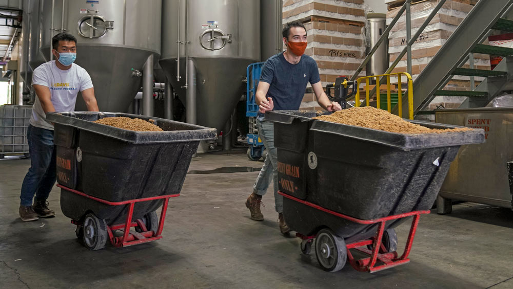 Students push bins on wheels, filled with spent brewers grain.