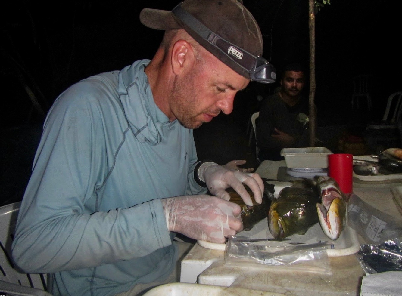 Scientist in the field removes fish eye lens from a fish in Brazil for research.