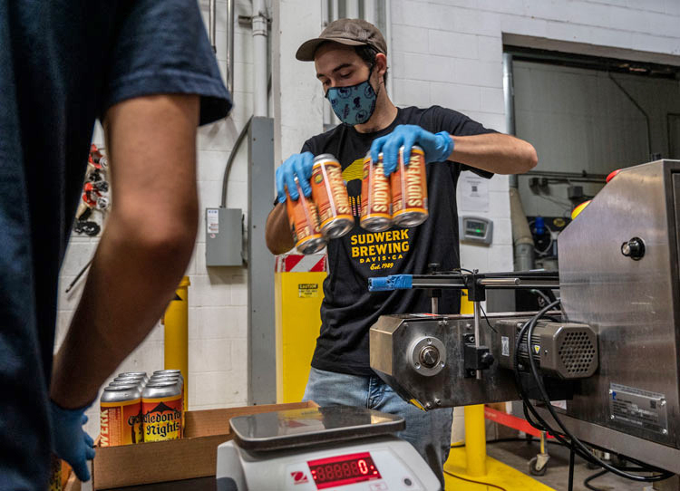 Man holds four cans of ale as they come off canning line.