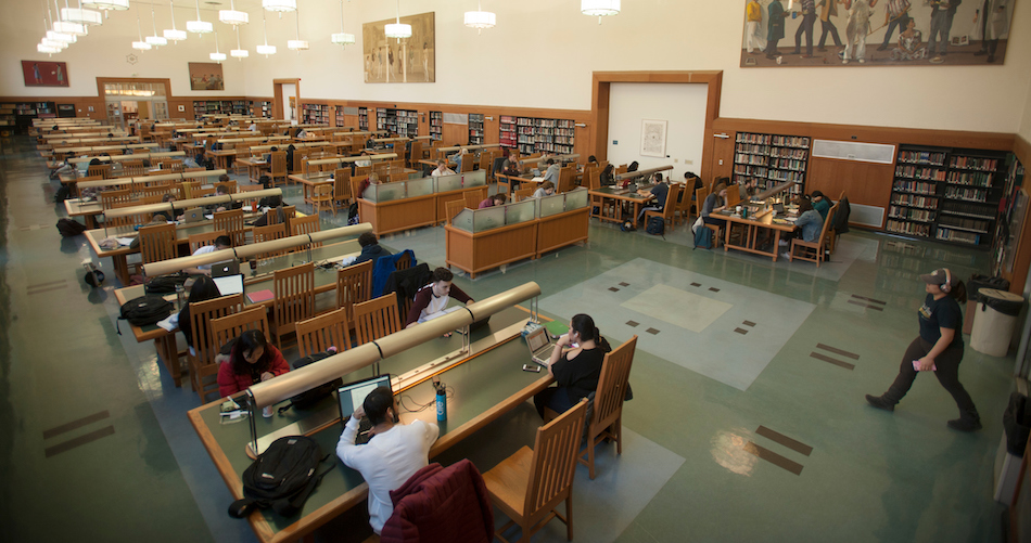 Students study in the main reading room at the Shields Library. (Gregory Urquiaga/UC Davis)