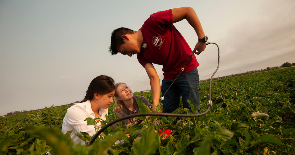 Undergraduates Aya Suzuki, a biosystems engineering major; Mackenzie Gulliams, a civil and environmental engineering major, and Marcoluis Garcia, hydrology major, work together to get measurements of soil moister content during a new agricultural research project on crop irrigation undeground with a modern computerized irrigation/fertilization system at the Campbell Tract on July 3, 2018.  The tomato research field is a study in managing water and fertilizer together to minimize groundwater contamination, "Fertigation."