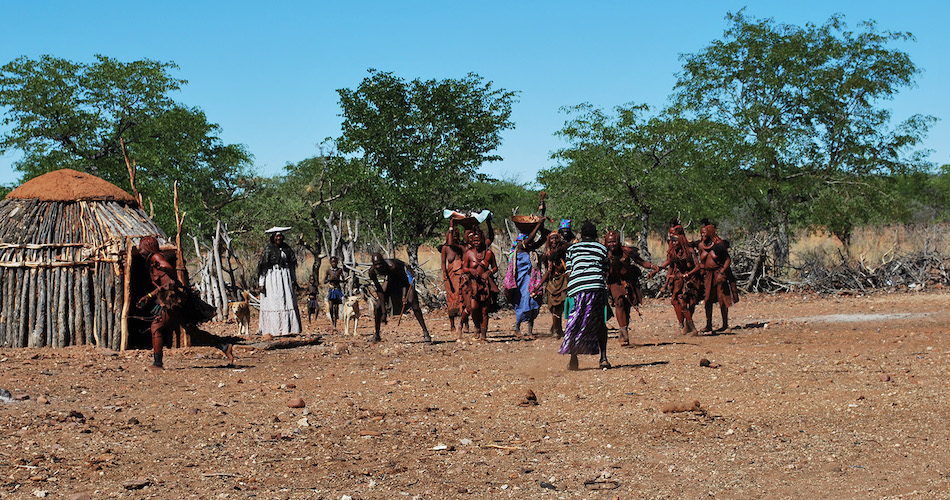 In the lab of Associate Professor Brenna Henn, Williams was trying to parse apart familial relationships in African hunter-gatherer and pastoralist groups, like the Himba. Elizabeth Atkinson