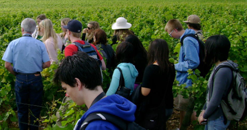 UC Davis students during a winemaking course in France.