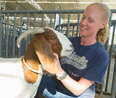 Laura Waters examining goat in pen