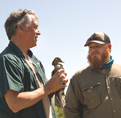 Professor John Eadie, left, holds wood duck and shows to student intern Skylar McAnelly