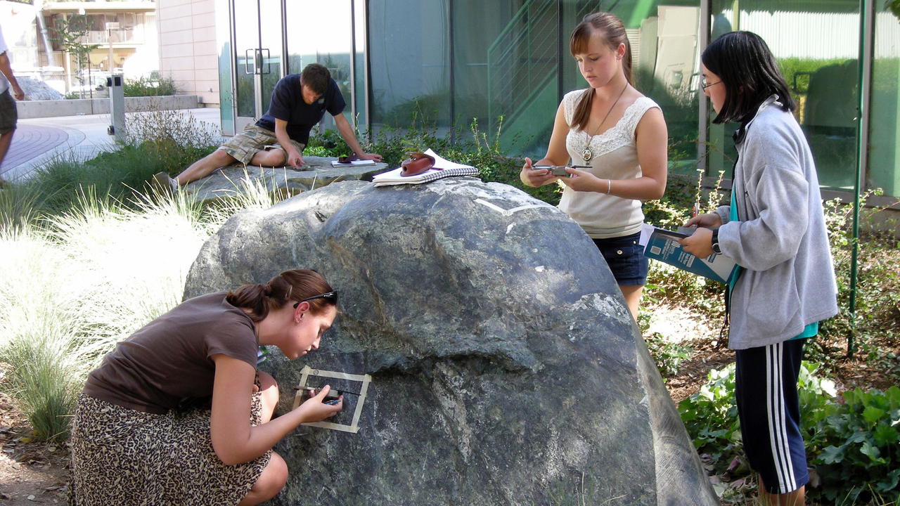 Several students studying rocks