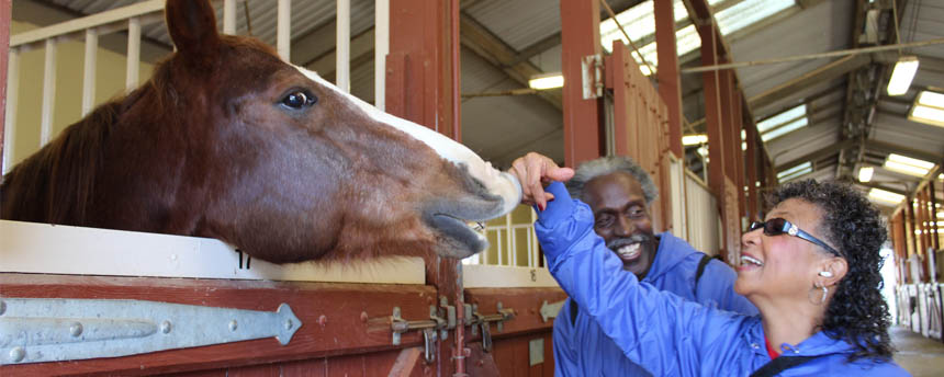 A horse nuzzles a woman's hand as a nearby man smiles