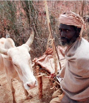 Huka Bidu poses for the camera with one of his cattle