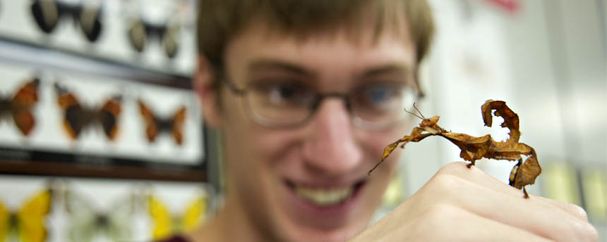 Close up of man with a mantis insect on his hand