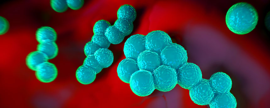 Close-up image of bacteria rendered in blue-green against a red background