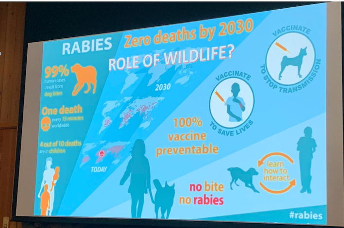 Rabies presentation at WDA