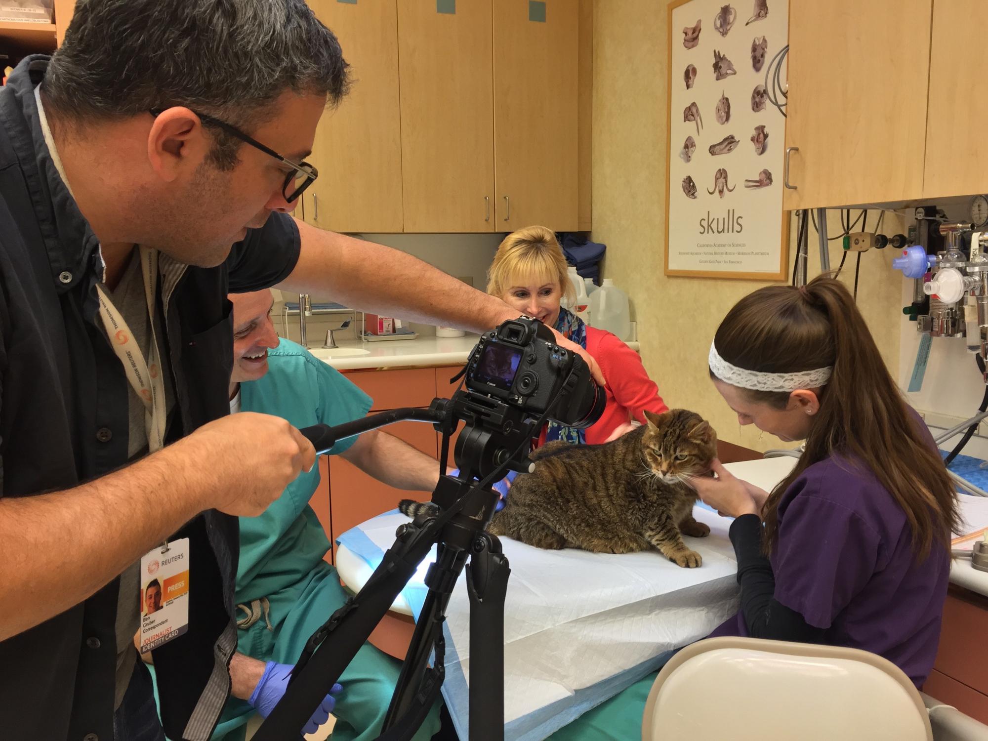 Smokey the cat steals the scene on a Reuters video
