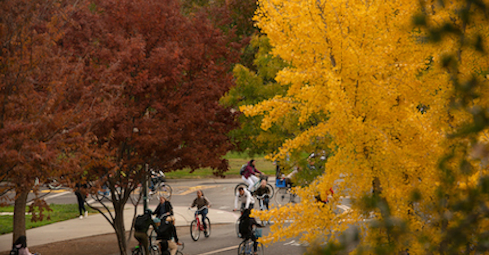 The red and gold of autumn arrived on campus as students cycled on Sprocket Bikeway November 27, 2018.