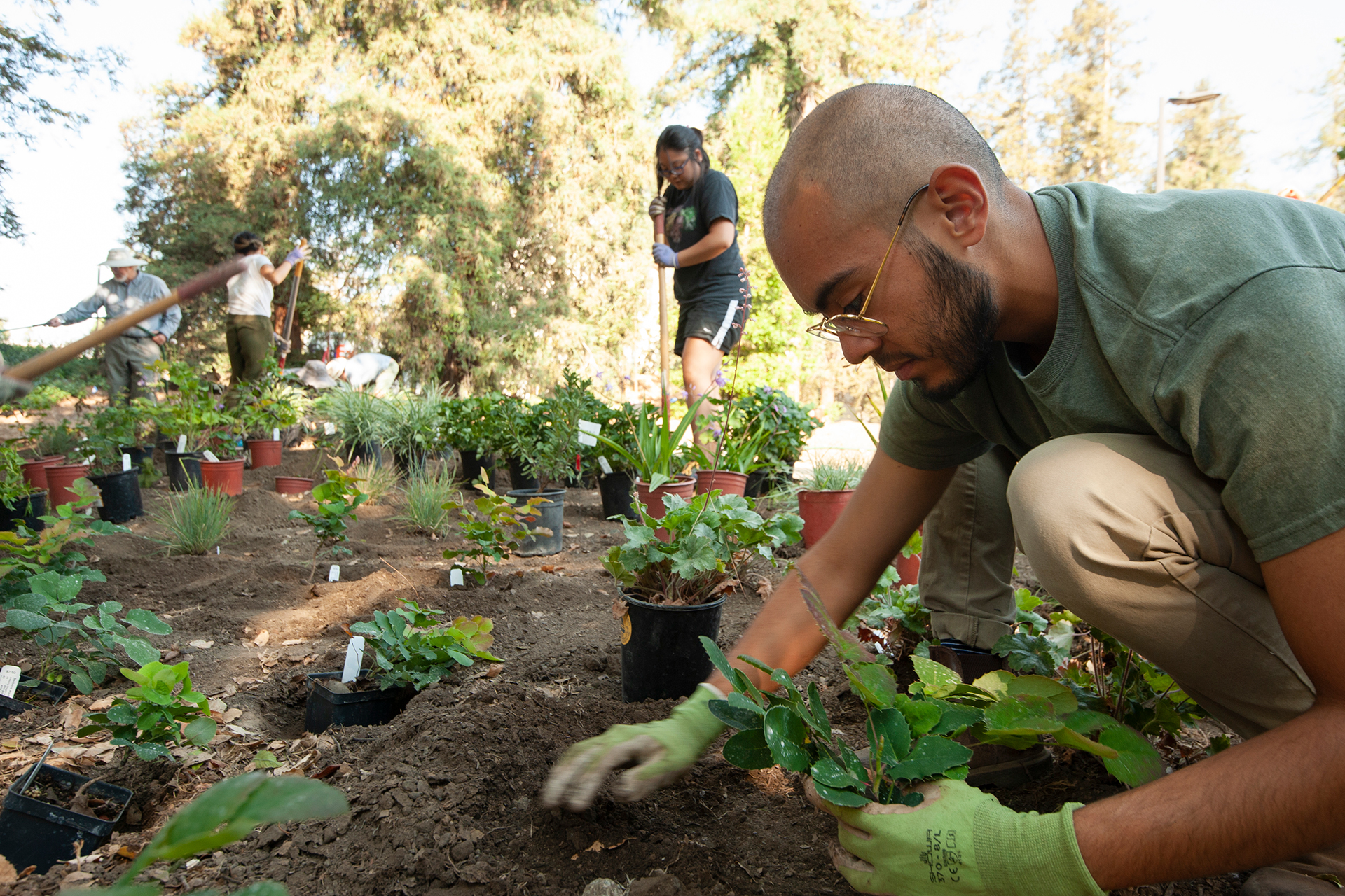 Steffi Sin and Levy Hernandez work with volunteers on planting the Seas of Cortez Memorial garden.