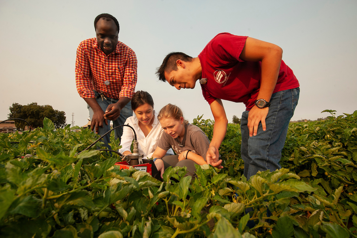 A professor and three students look at irrigation in a field. 