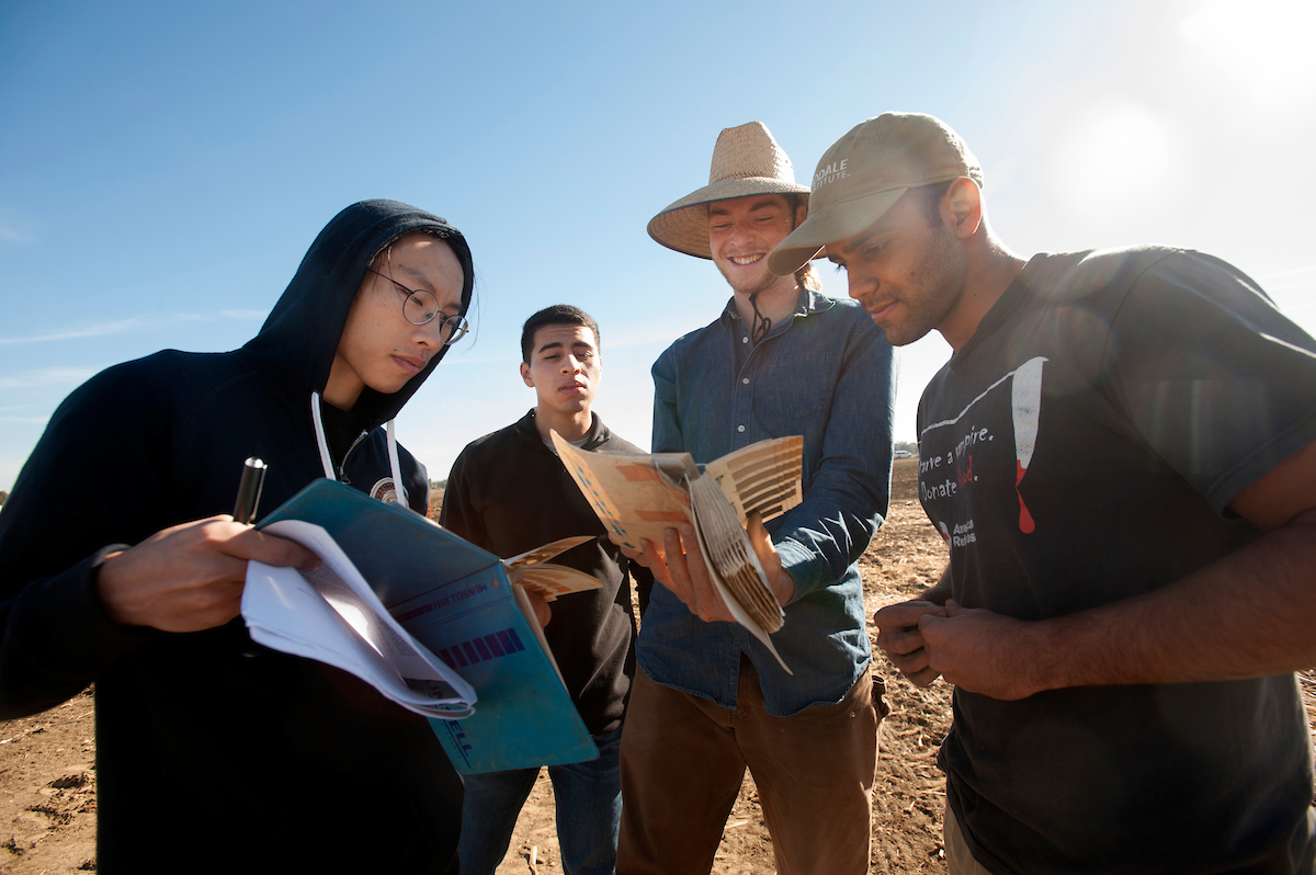 Students examine soil while looking at a guide at UC Davis.