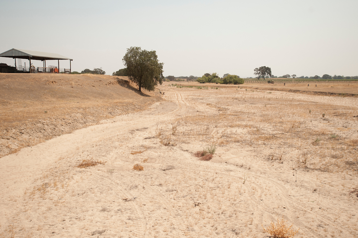 dry creek bed and dirt field with tree in central valley california