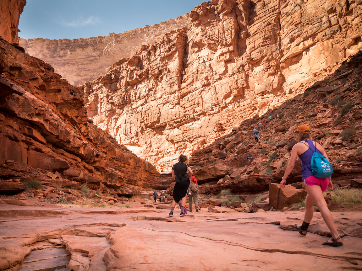 UC Davis students hike in the Grand Canyon