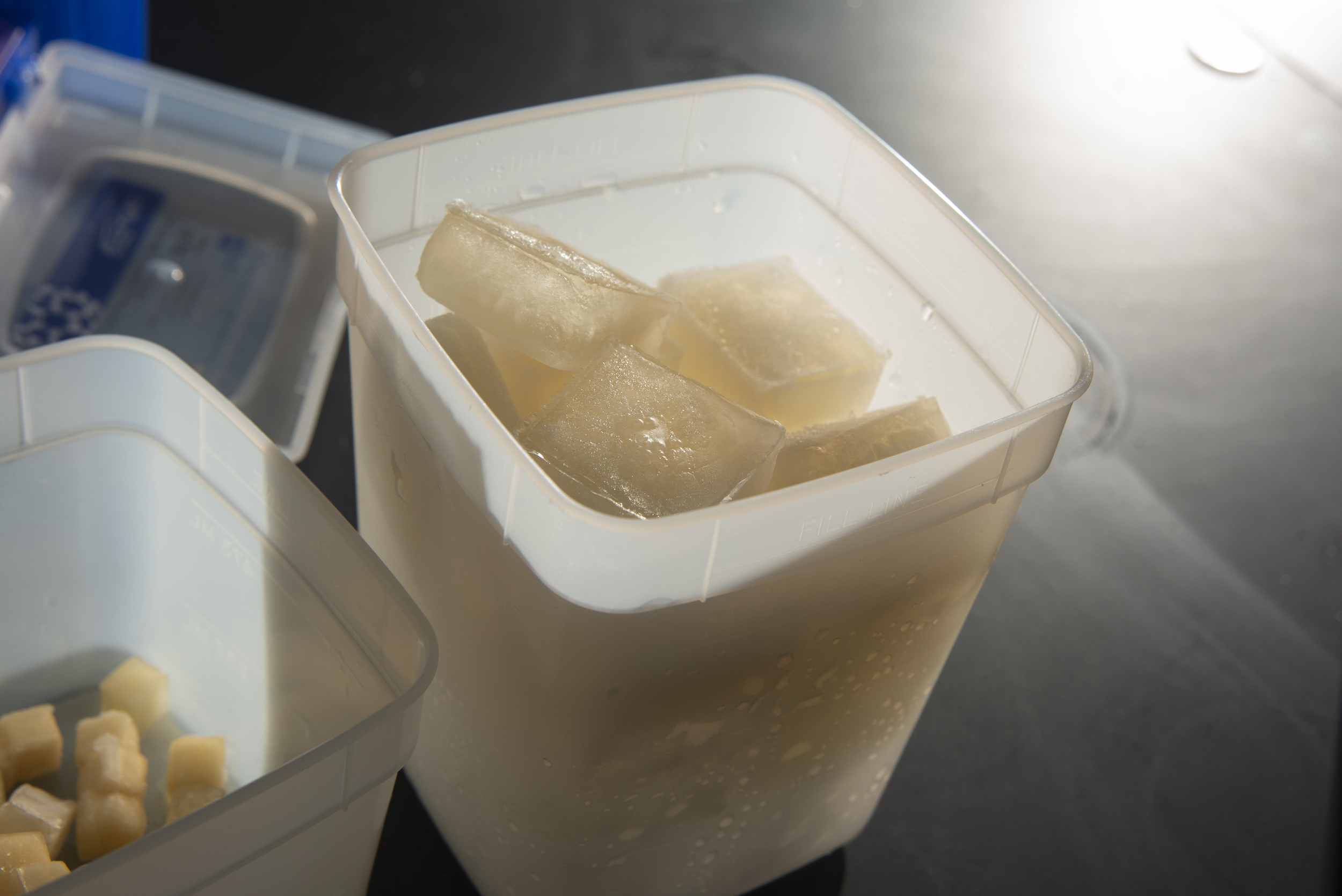 White tub holds several jelly ice cubes