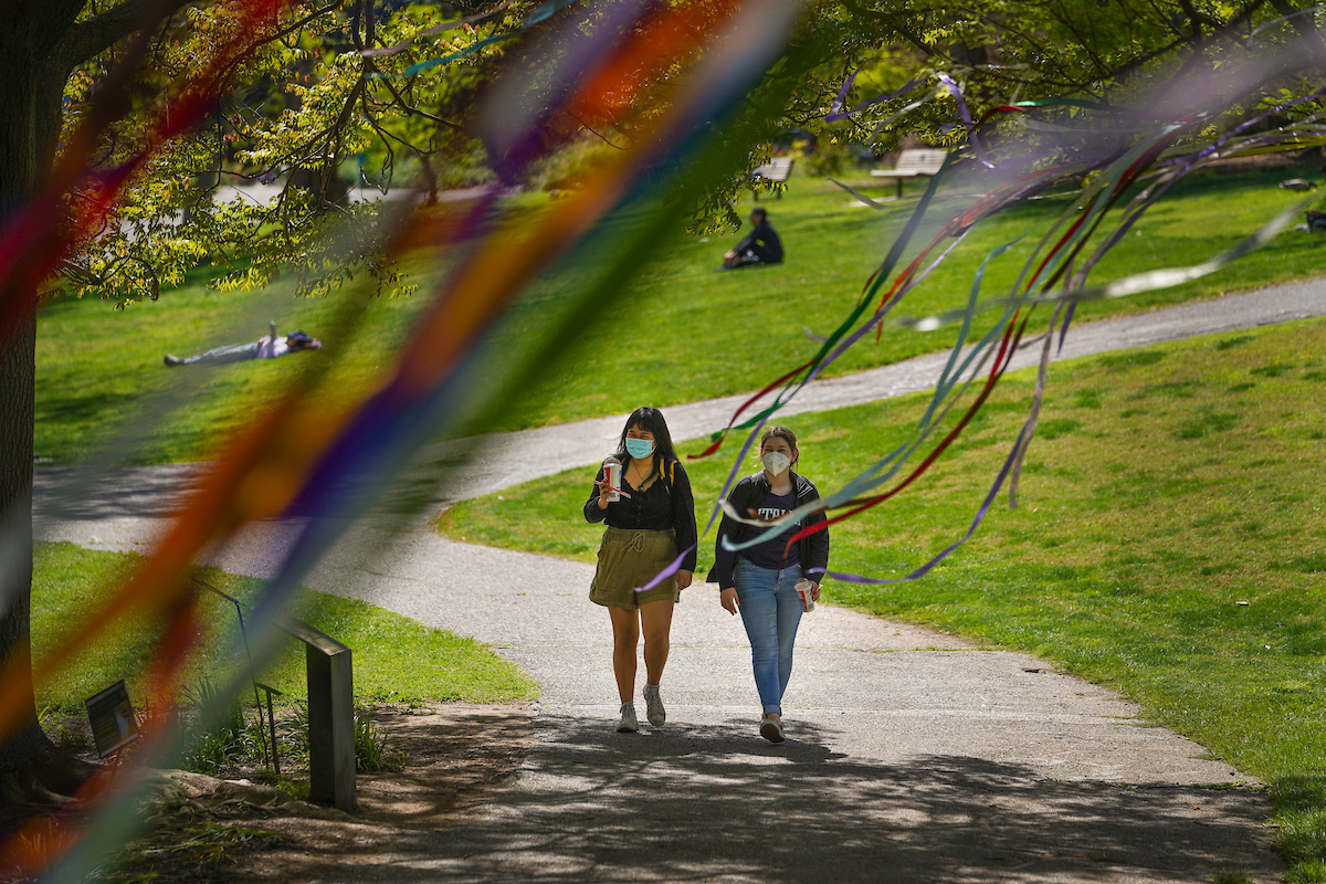 People strolling under colorful ribbons on large shady trees.