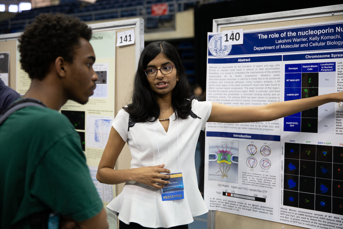 undergraduate research opportunities uc davis