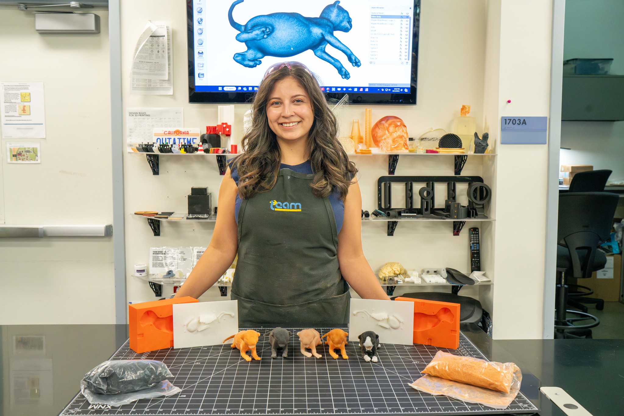 Inside a laboratory space, a woman is standing in front of a table featuring 3d-printed kittens and their molds. She is smiling and wearing a blue apron, staring at the camera, and is standing beneath a monitor featuring a 3d model of the model kittens.