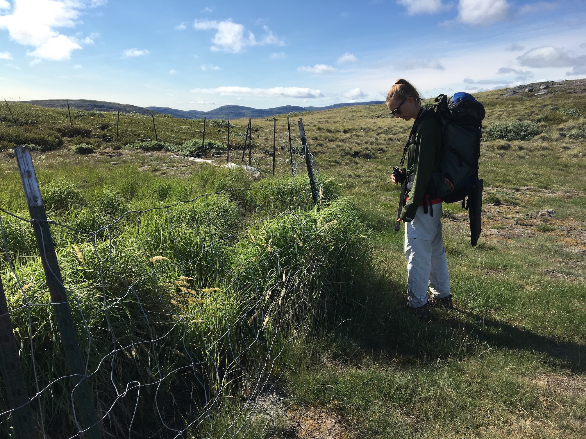 Young woman looks at exclosure on calving grounds in Greenland