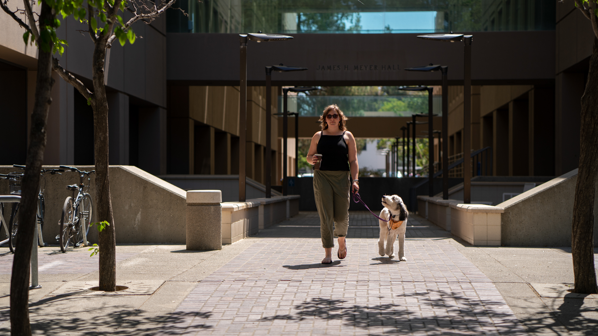 Woman walks her dog at UC Davis between buildings