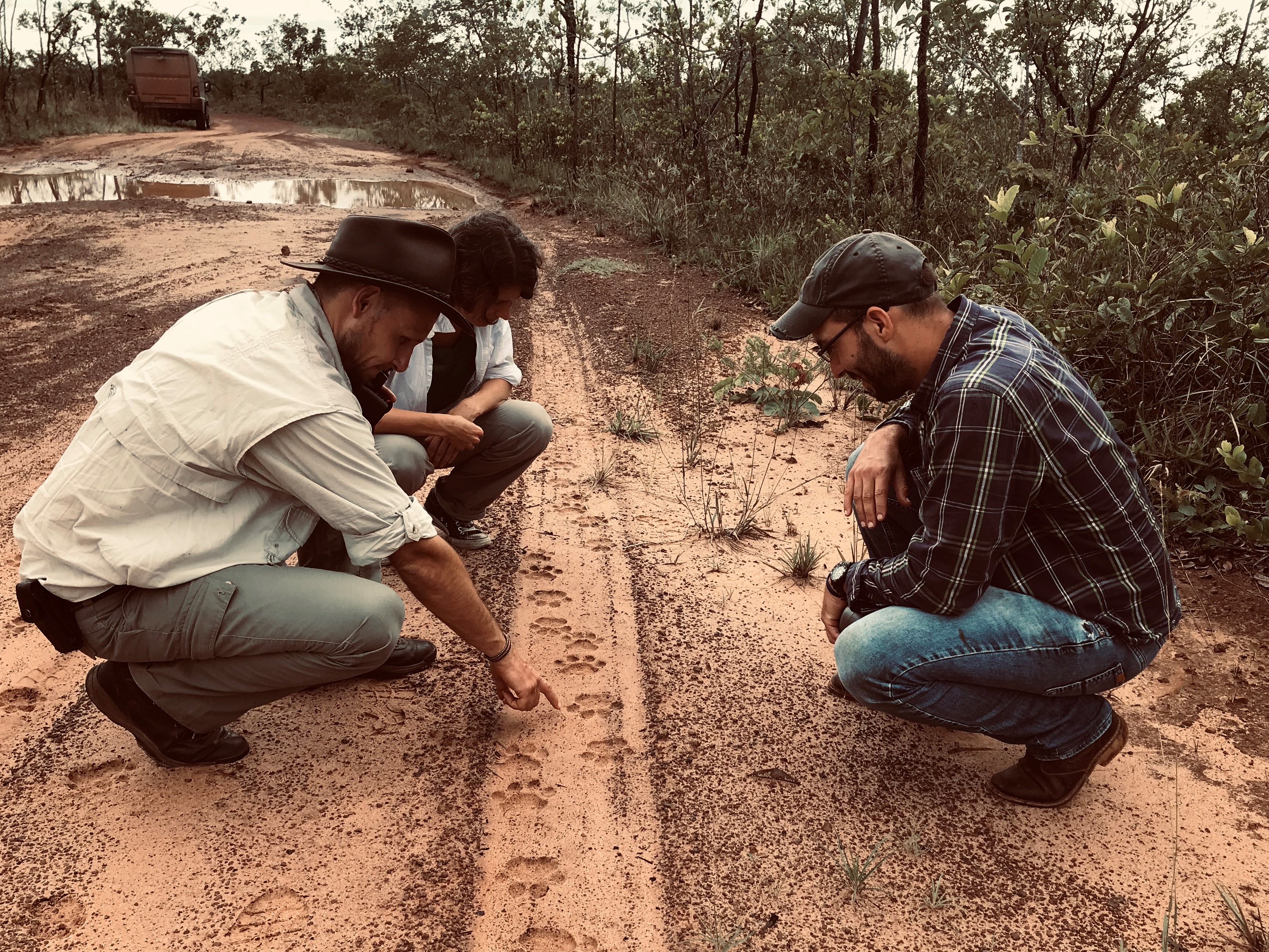 Three scientists on dirt road in Brazil examine tracks from a big cat