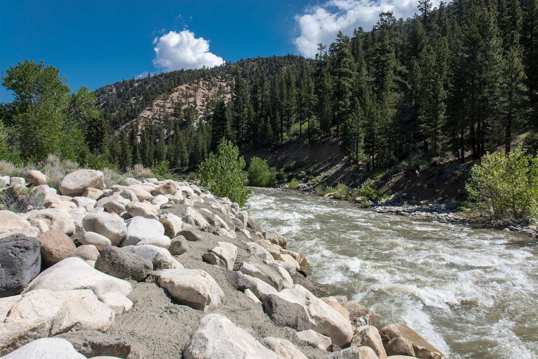 The Walker River in California washed over rocks with backdrop of forested mountains