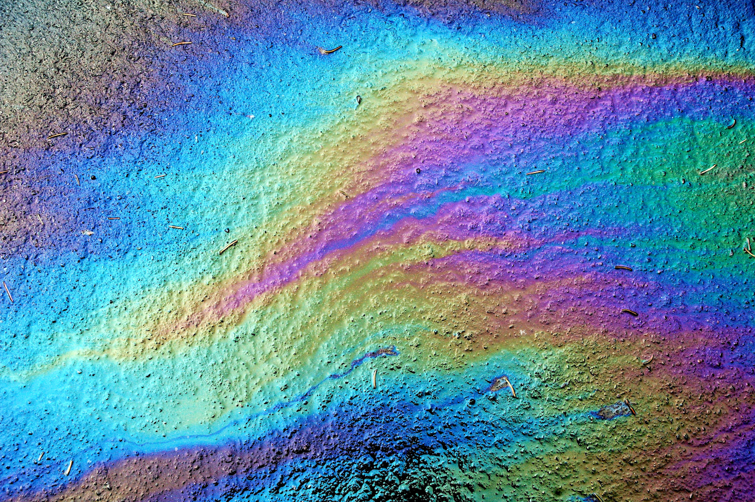 rainbow colored oil sheen across wet pavement, close up