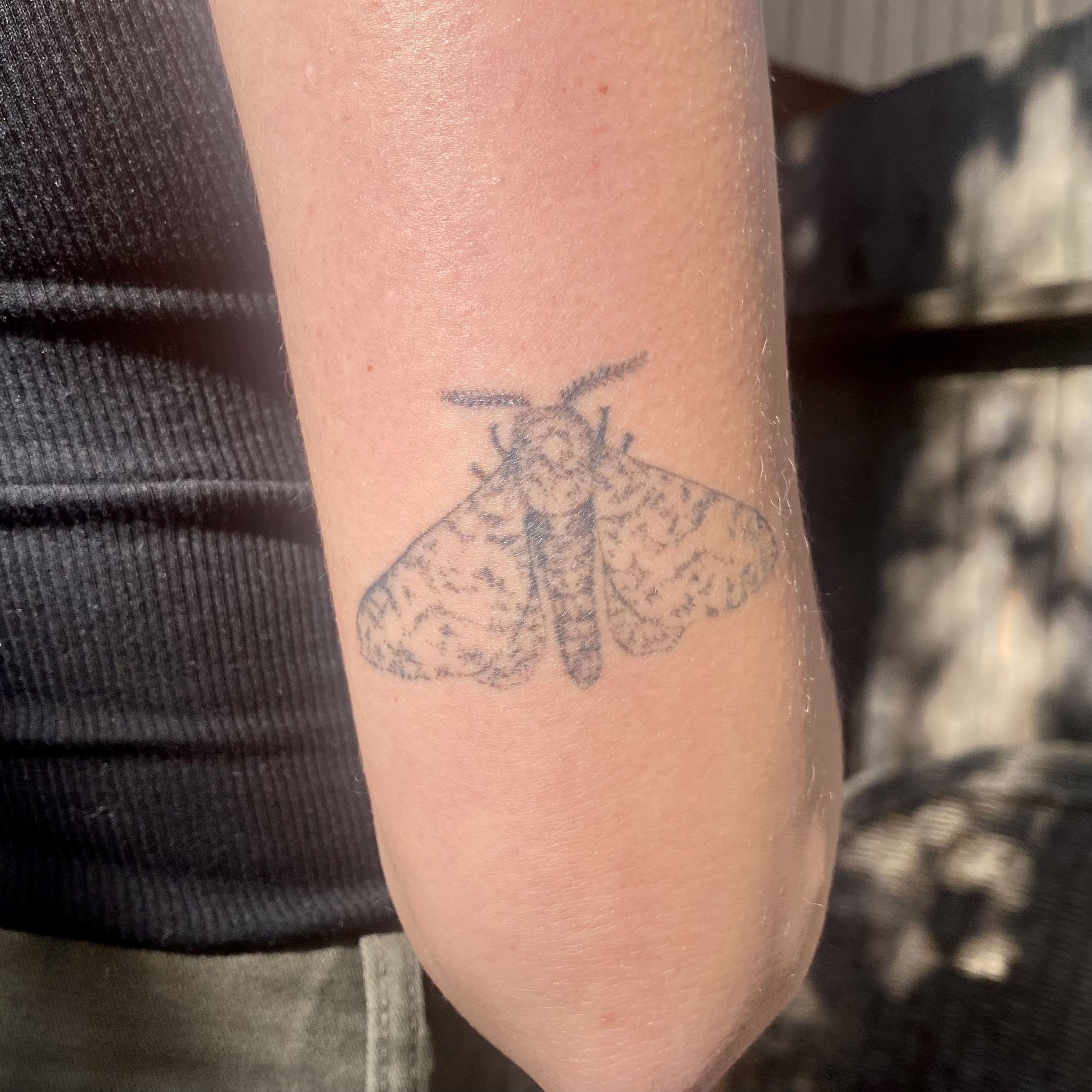 Close-up of peppered moth tattoo