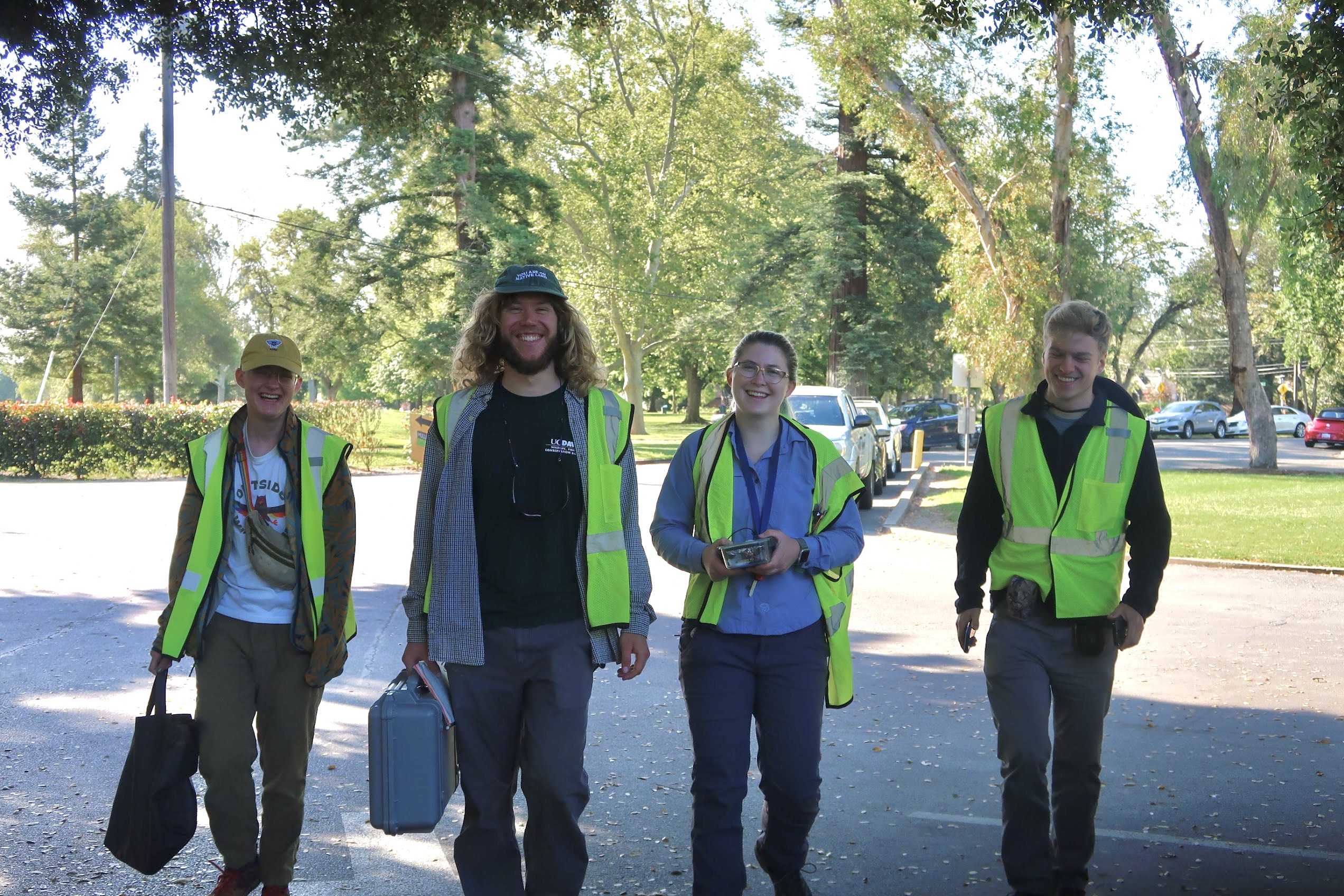 Flying High with the Black Phoebe Project | UC Davis