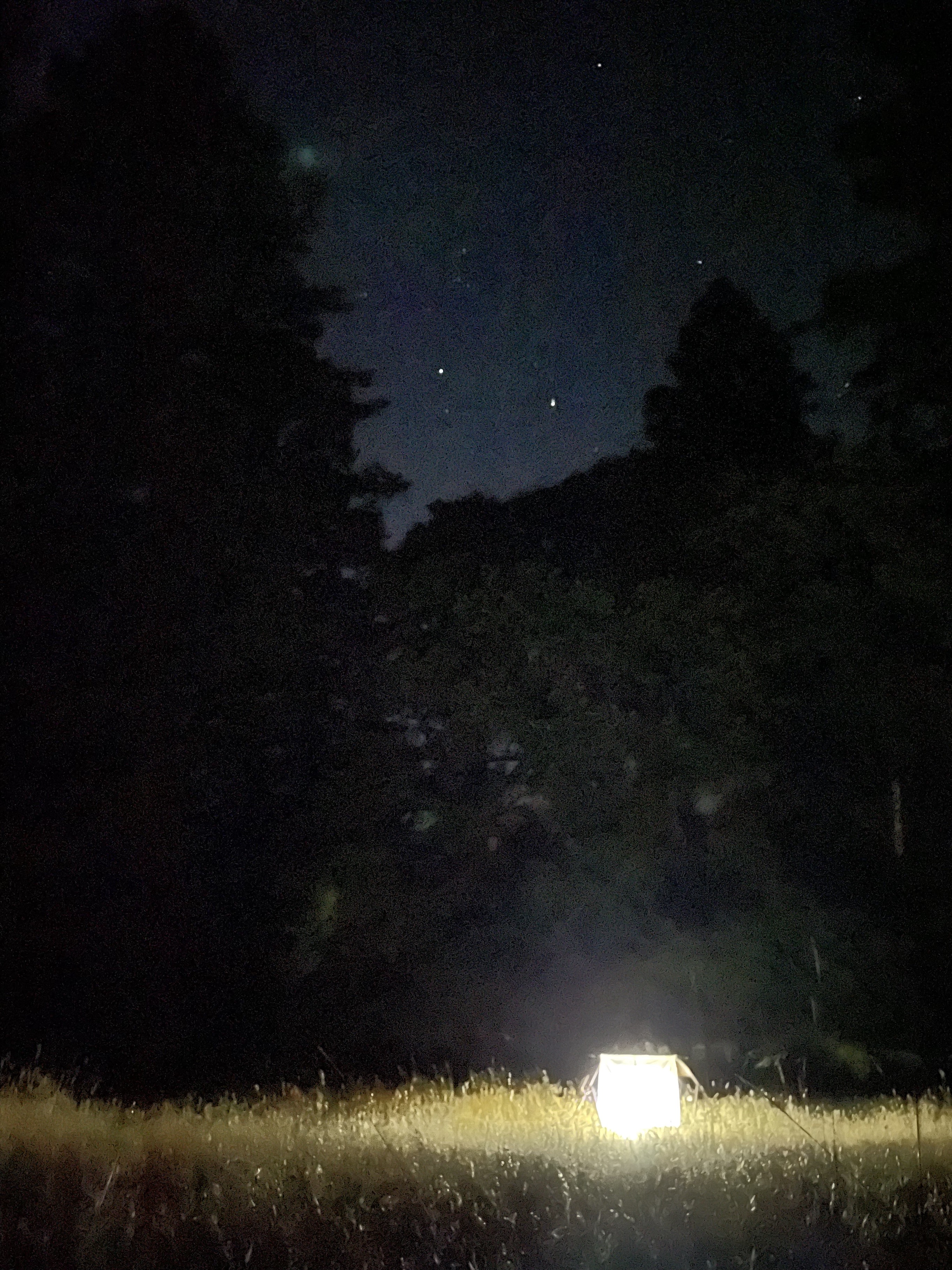 Emerson's light trap against a pitch-black meadow