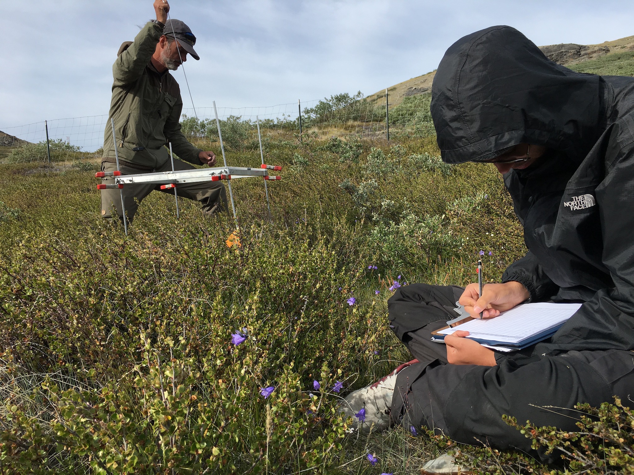Two scientists conduct field work in Arctic Greenland tundra, one person seated with notebook and theother standing with science instrument
