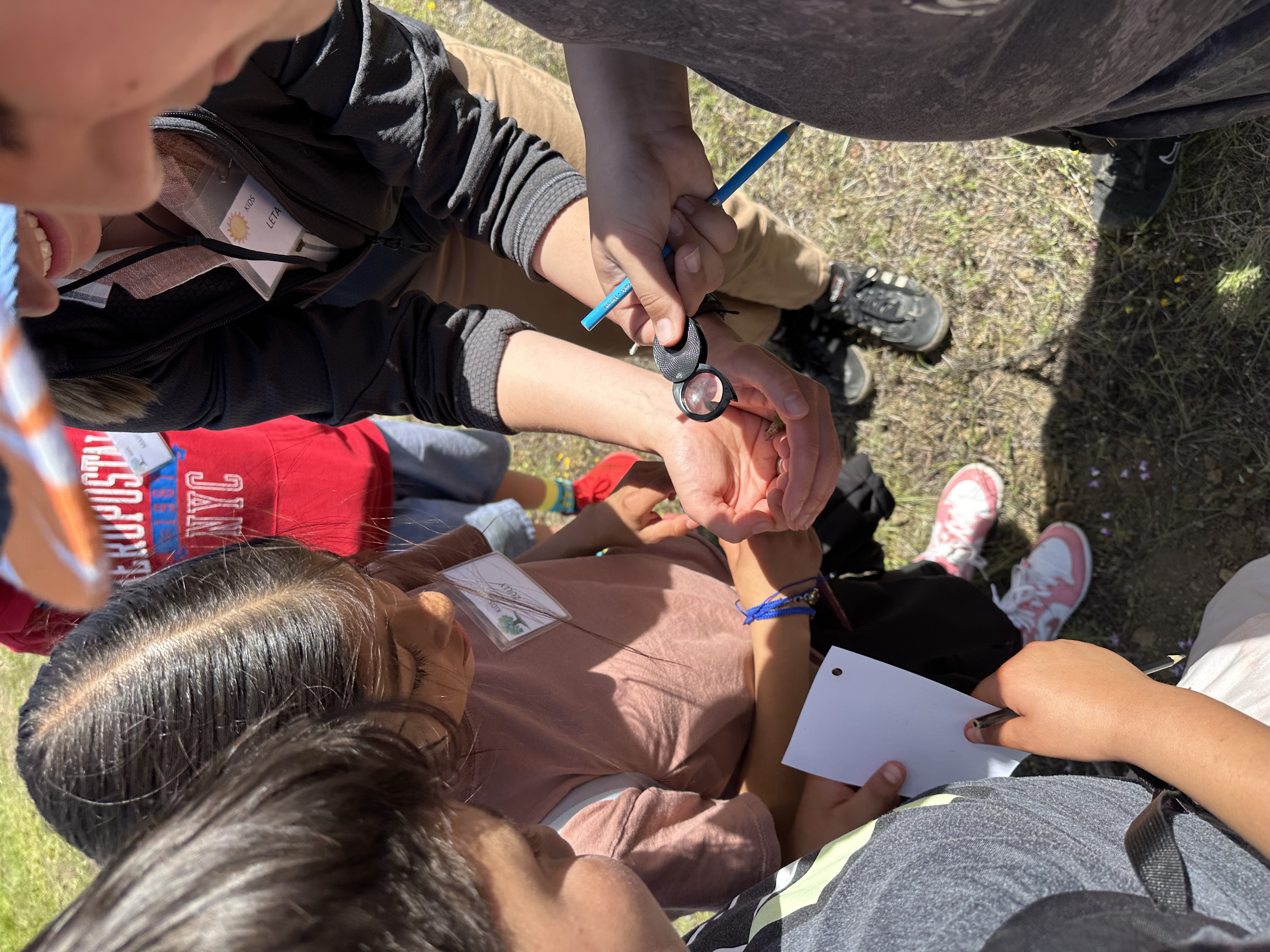 Students examine a bug through a hand lens