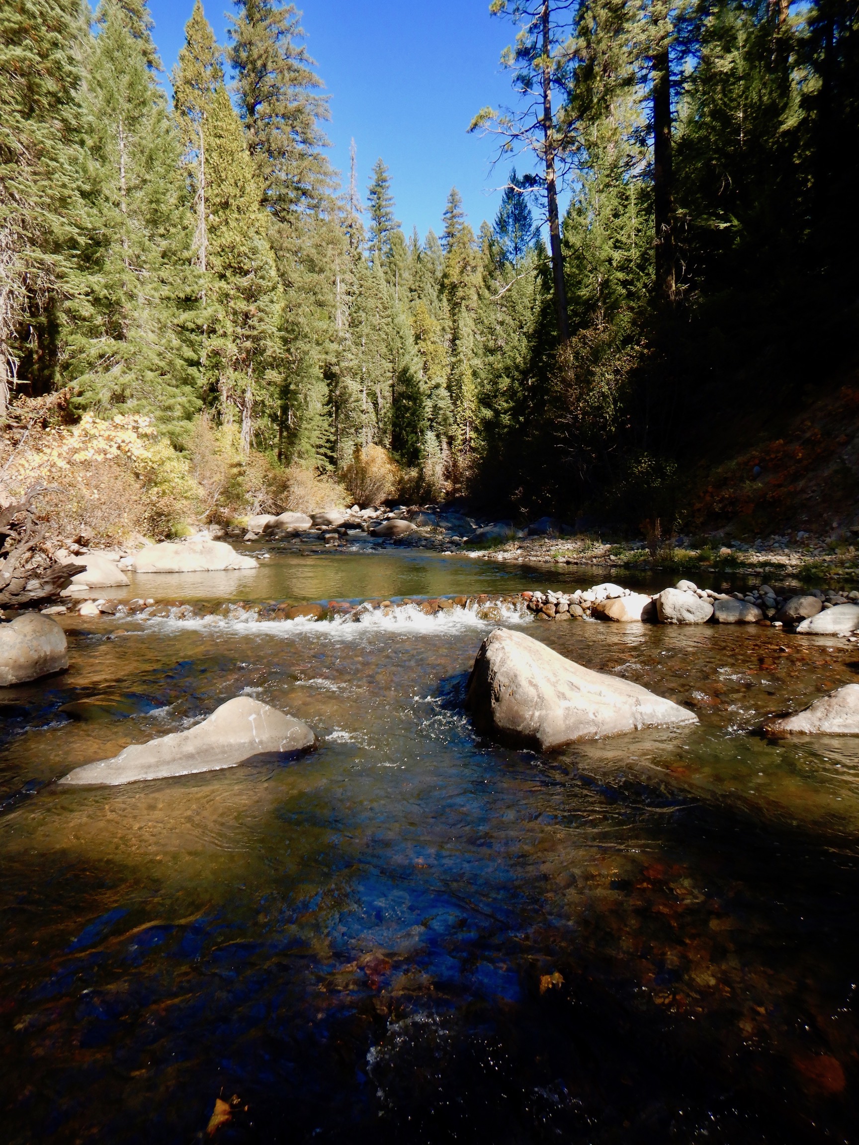 Mill Creek in California with conifers in background