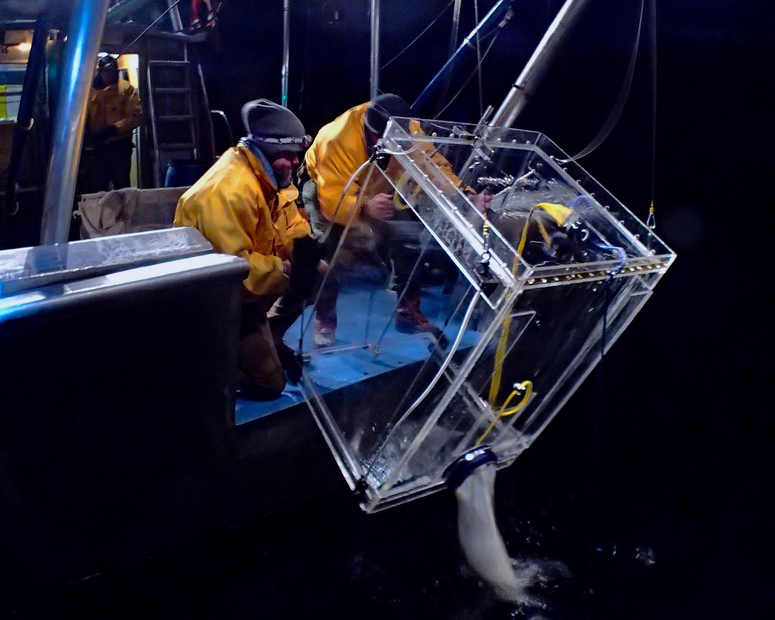 Two men in yellow jackets bring in trawling net from boat in the dark
