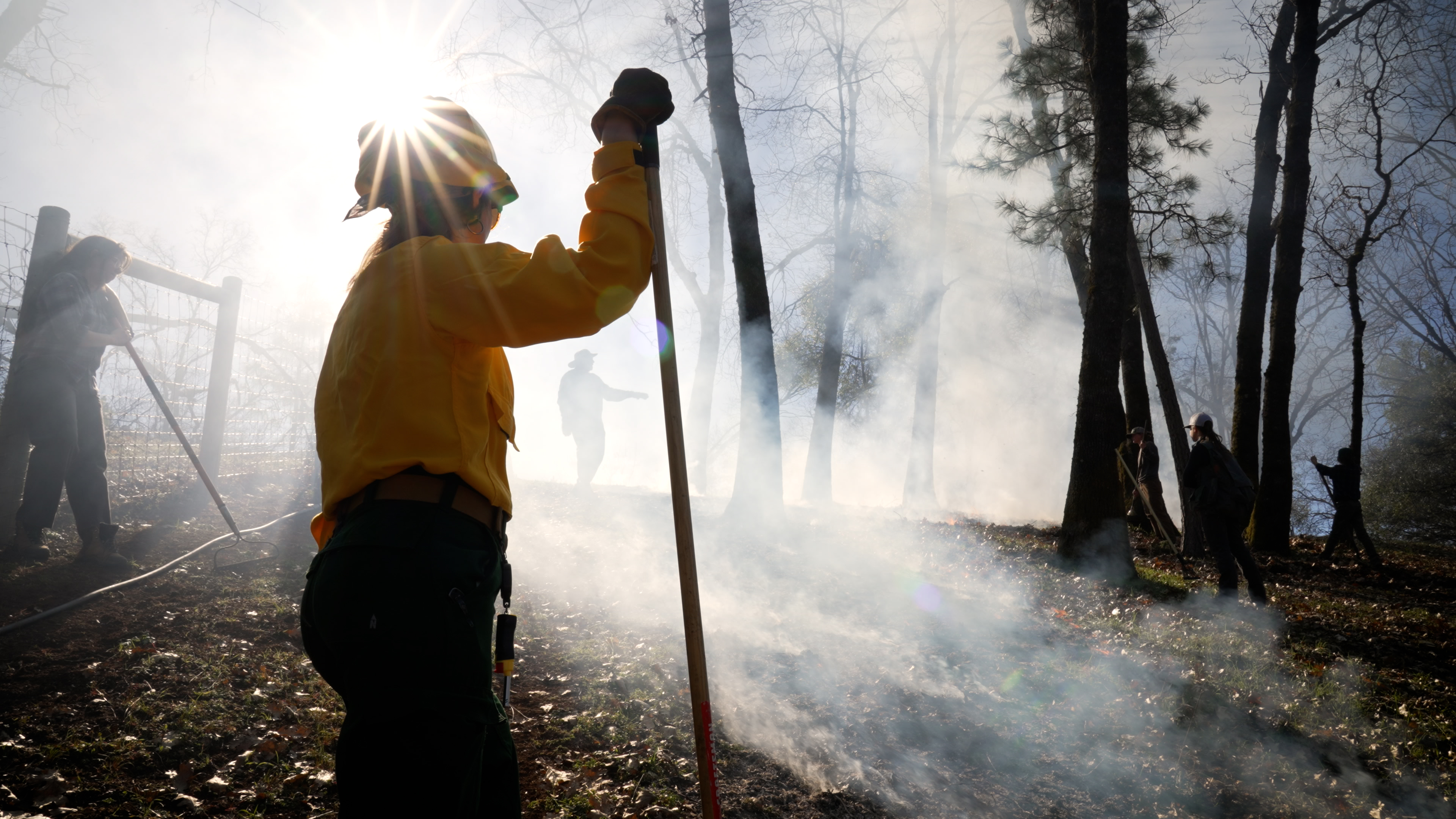 Sunlight shines over the helmet of a woman in firefighting yellow shirt amid smoky woods during prescribed burn