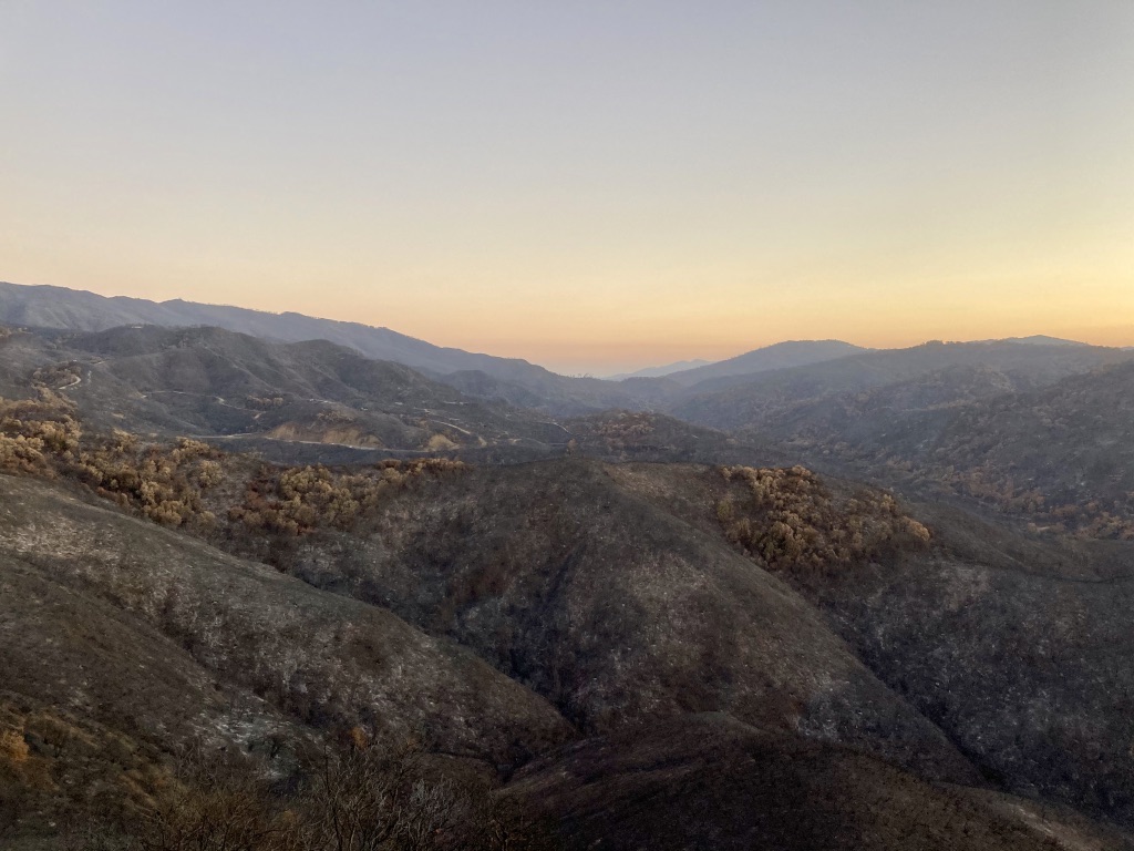 Quail Ridge Reserve, California, after wildfire