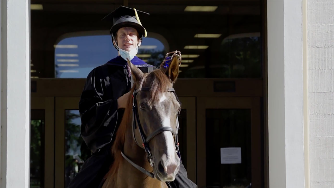 Wearing an academic gown, Professor Russ Hovey is seated atop his Morgan horse, Red.