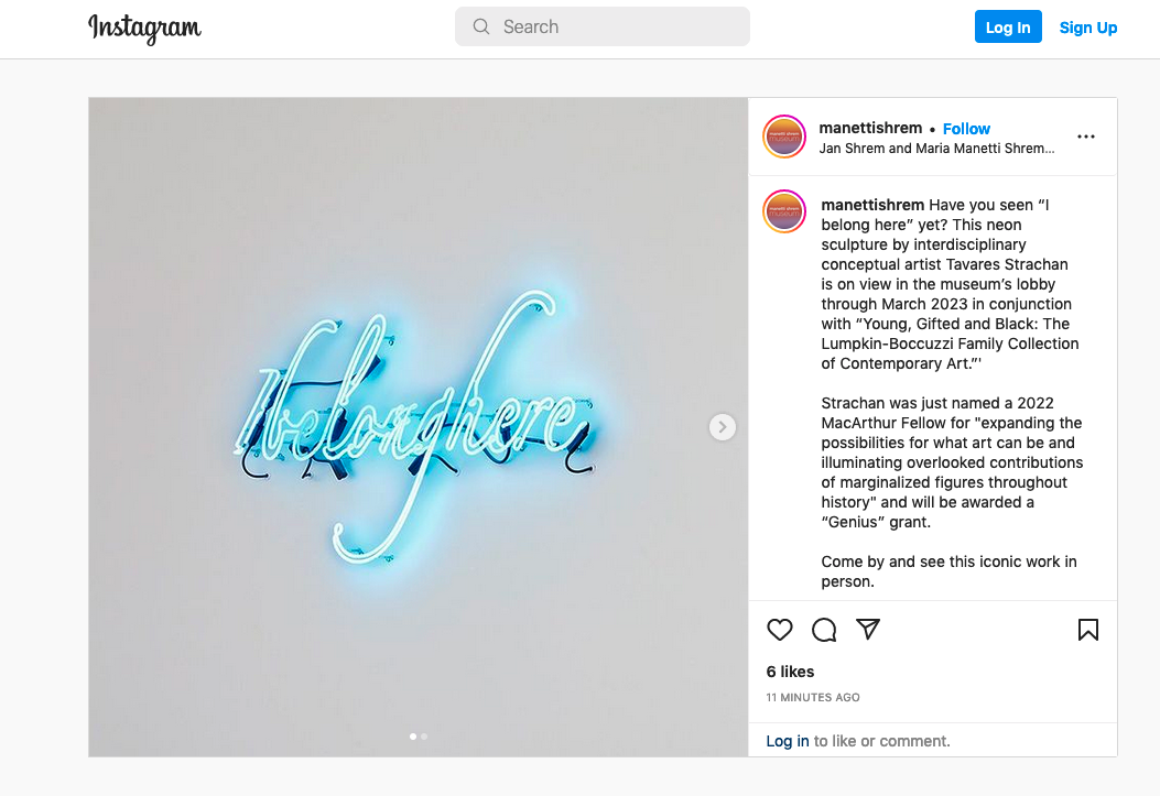 instagram post of manetti shrem icon