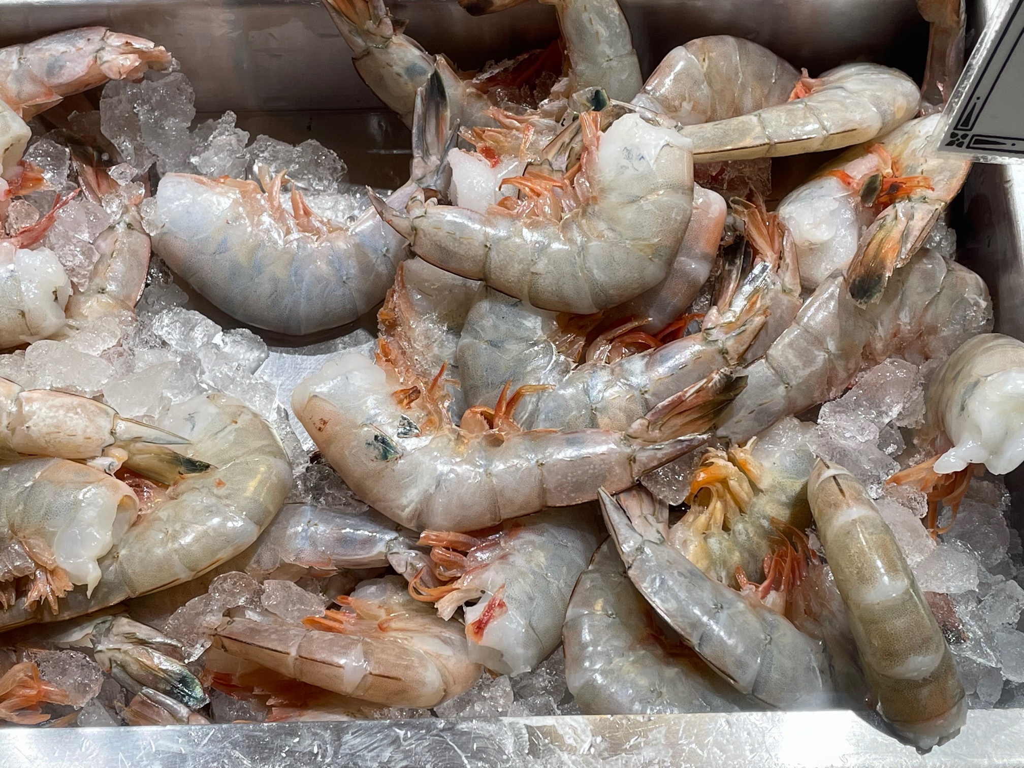 Dozens of frozen shrimp on ice
