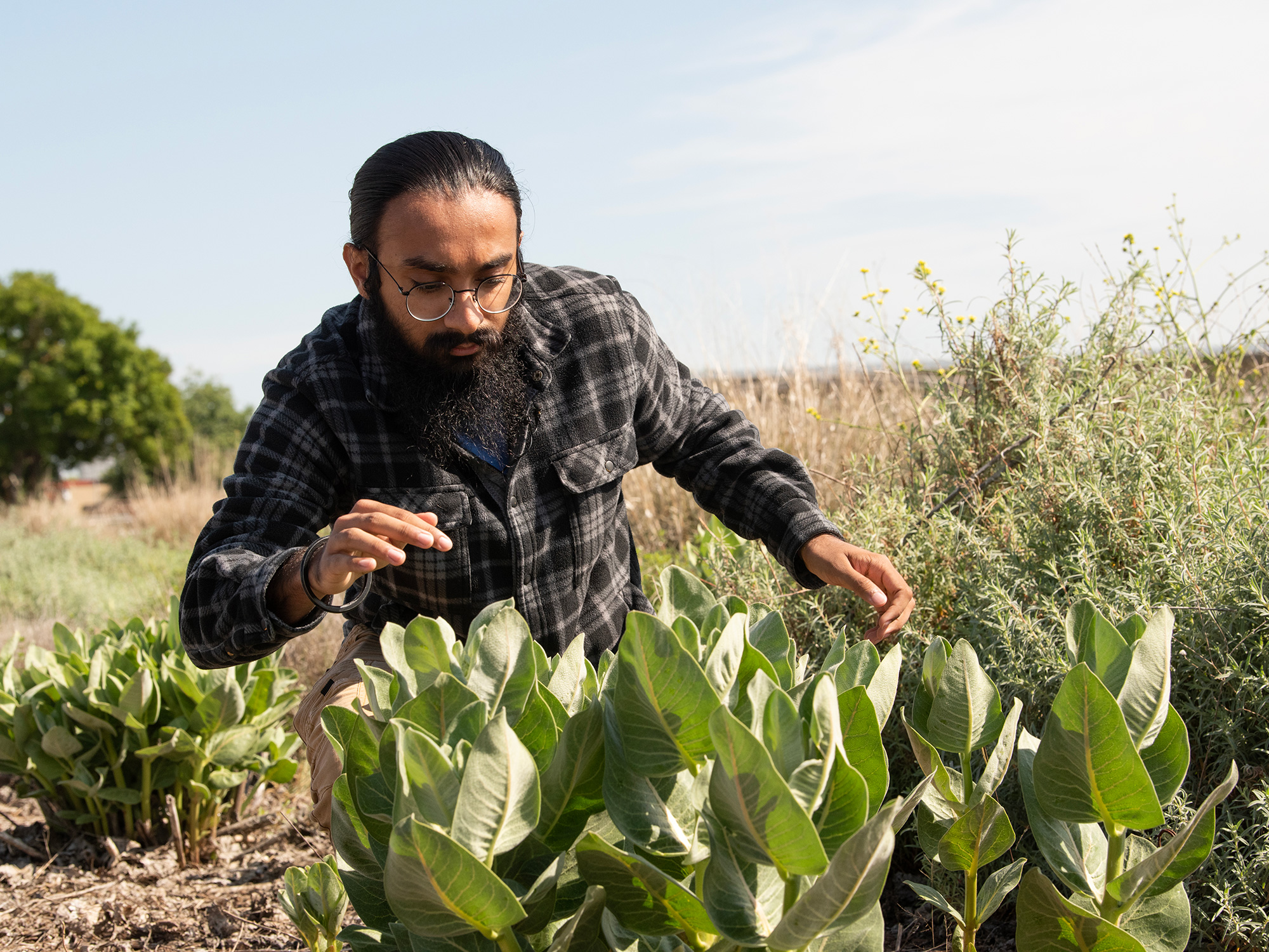 Student investigates a plant