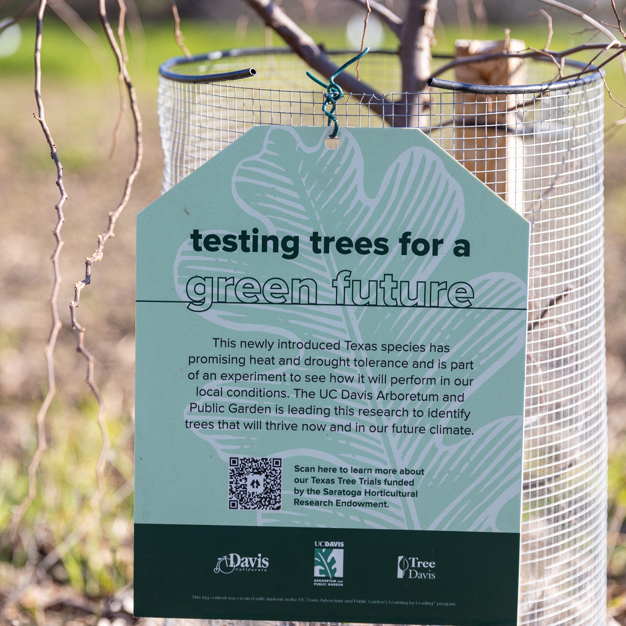 Some of the newly planted trees have informational signs that explain the experiement.