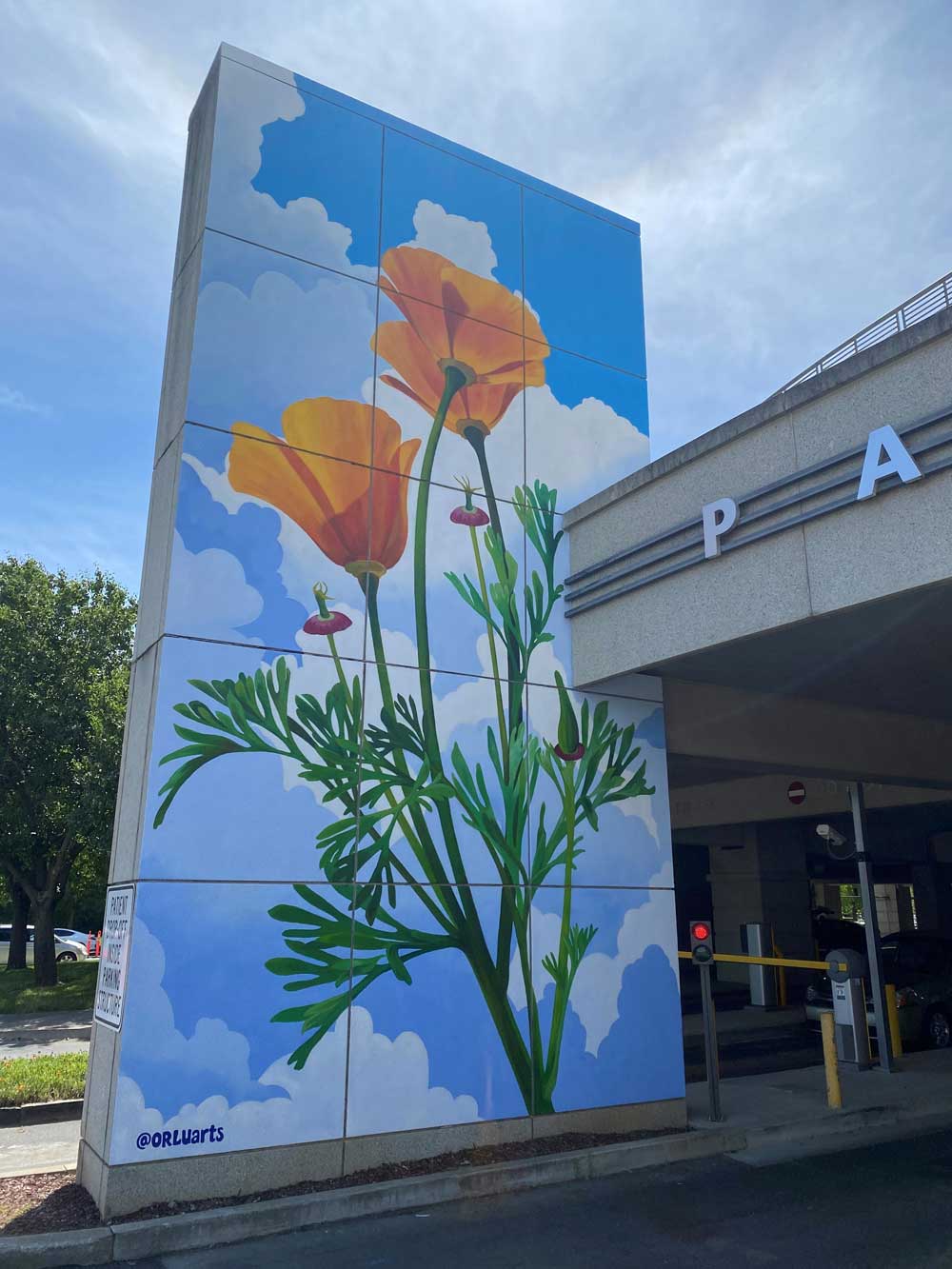 This Wide Open Walls mural depicts bright California poppies and now greets visitors at the entrance to Parking Structure No. 2 at UC Davis Health.