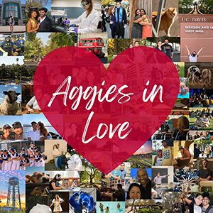 Collage of photos with red heart that reads: Aggies in Love