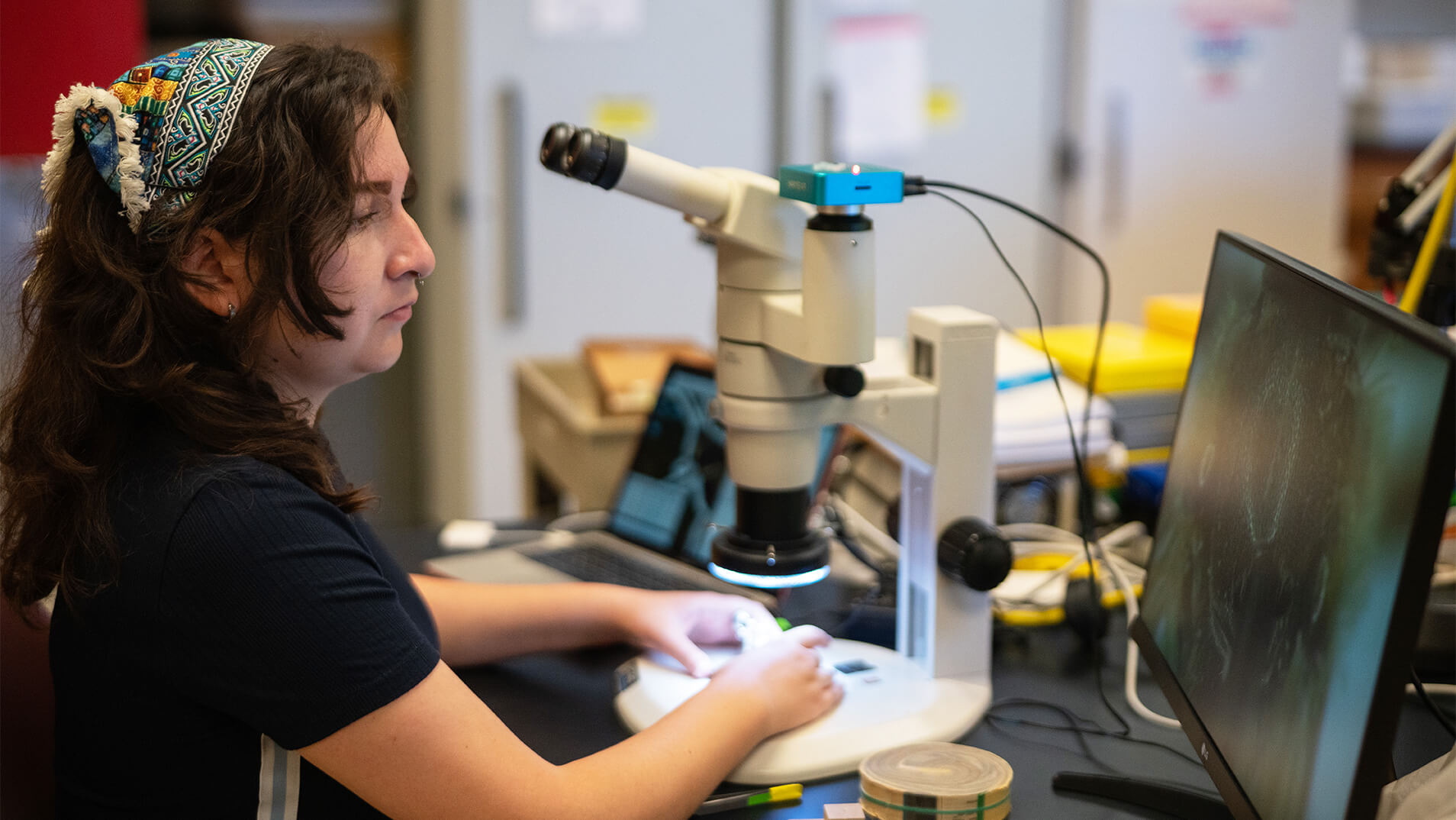 An entomology student takes photos of California wild bees and their tongues under a microscope.